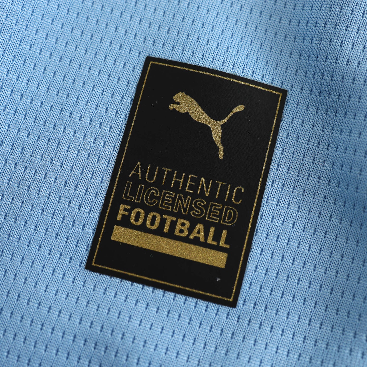 24/25 season Manchester City Home Fan version